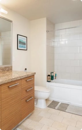 Toilet with window and bathtub decorated